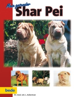 Mein gesunder Shar-Pei