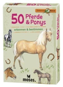 Expedition Natur 50 Pferde & Ponys