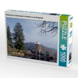 CALVENDO Puzzle Winterhauch am Schlossteich in Weinheim an der Bergstraße 1000 Teile Lege-Größe 64 x 48 cm Foto-Puzzle Bild von Ilona Andersen