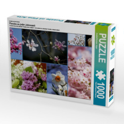 Ein Motiv aus dem Kalender Florales zu jeder Jahreszeit (Puzzle)