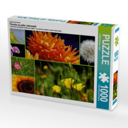 Ein Motiv aus dem Kalender Florales zu jeder Jahreszeit (Puzzle)