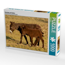 CALVENDO Puzzle Eselstute mit Fohlen 1000 Teile Lege-Größe 64 x 48 cm Foto-Puzzle Bild von Meike Bölts