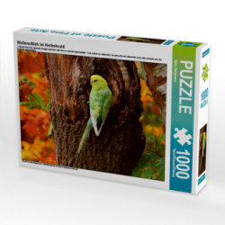 CALVENDO Puzzle Wellensittich im Herbstwald 1000 Teile Lege-Größe 64 x 48 cm Foto-Puzzle Bild von Björn Bergmann