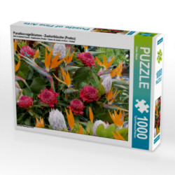 Paradiesvogelblumen - Zuckerbüsche (Protea) (Puzzle)