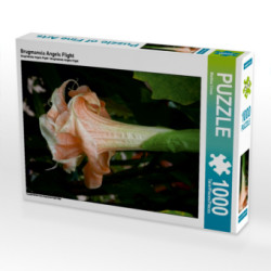 Brugmansia Angels Flight (Puzzle)