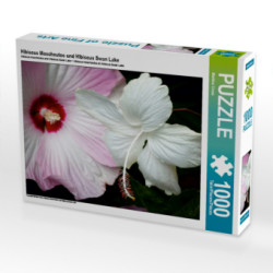 Hibiscus Moscheutos und Hibiscus Swan Lake (Puzzle)