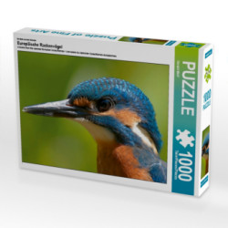 Ein Motiv aus dem Kalender Europäische Rackenvögel (Puzzle)