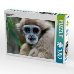 Weißhandgibbon (Puzzle)