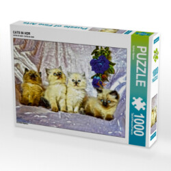 CATS IN HDR (Puzzle)