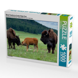 Bison Familie im Custer State Park (Puzzle)