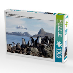 CALVENDO Puzzle Die Antarktis / CH-Version 1000 Teile Lege-Größe 64 x 48 cm Foto-Puzzle Bild von Roland Brack