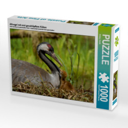 Altvogel mit erst geschlüpftem Küken (Puzzle)