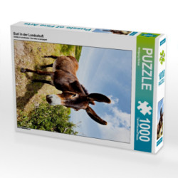 Esel in der Landschaft (Puzzle)