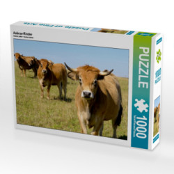 Aubrac-Rinder (Puzzle)