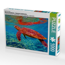 Ein Motiv aus dem Kalender Meeresschildkröten - Bedrohte Schönheiten (Puzzle)