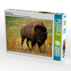 Ein Motiv aus dem Kalender Wisent & Bison (Puzzle)