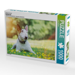 CALVENDO Puzzle Ein Motiv aus dem Kalender Bullterrier | 1000 Teile Lege-Größe 64x48cm Foto-Puzzle für glückliche Stunden