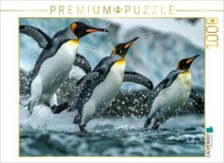 CALVENDO Puzzle Pinguin Ballett | 1000 Teile Lege-Größe 64x48cm Foto-Puzzle für glückliche Stunden