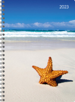 Ladytimer Ringbuch Beach 2023 - Taschen-Kalender A5 (15x21 cm) - Schüler-Kalender - Weekly - Ringbindung - 128 Seiten - Alpha Edition