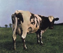 Atom Heart Mother, 1 Audio-CD (2011 Remaster)