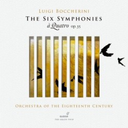 Sinfonien op. 35 (Fassung für Streicher), 2 Audio-CD