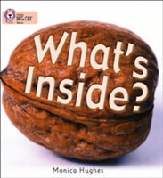 What’s Inside?