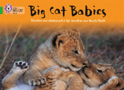 Big Cat Babies Band 05/Green