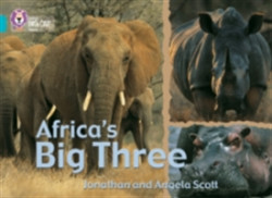 Africa’s Big Three