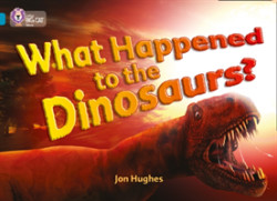 What Happened to the Dinosaurs?