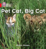 Pet Cat, Big Cat Band 02a/Red A