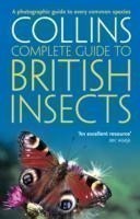 Collins Complete Guide to  British Insects