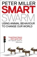 Smart Swarm