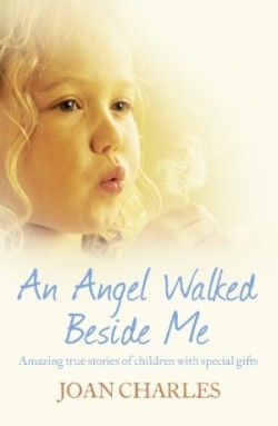 Angel Walked Beside Me