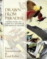 Drawn From Paradise The Discovery, Art and Natural History of the Birds of Paradise