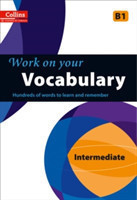 Work on your Vocabulary: B1