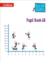 Pupil Book 6B