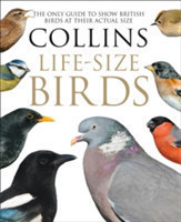 Collins Life-Size Birds