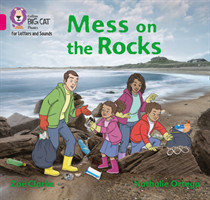 Mess on the Rocks Band 01b/Pink B