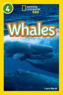 Whales