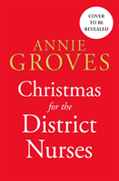 Christmas for the District Nurses