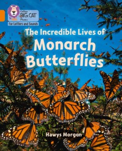 Incredible Lives of Monarch Butterflies