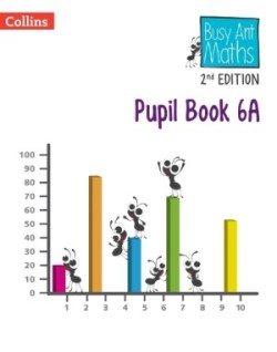 Pupil Book 6A