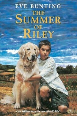 Summer of Riley