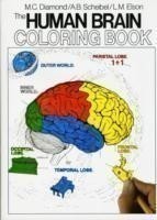 Human Brain Coloring Book