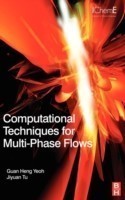 Computational Techniques for Multiphase Flows