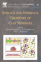 Surface and Interface Chemistry of Clay Minerals