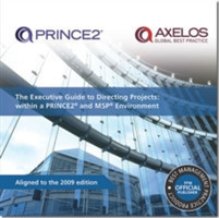 Executive Guide to Directing Projects: within a PRINCE2 and MSP Environment