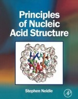 Principles of Nucleic Acid Structure