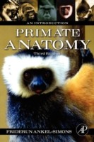 Primate Anatomy