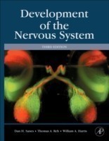 Development of Nervous System